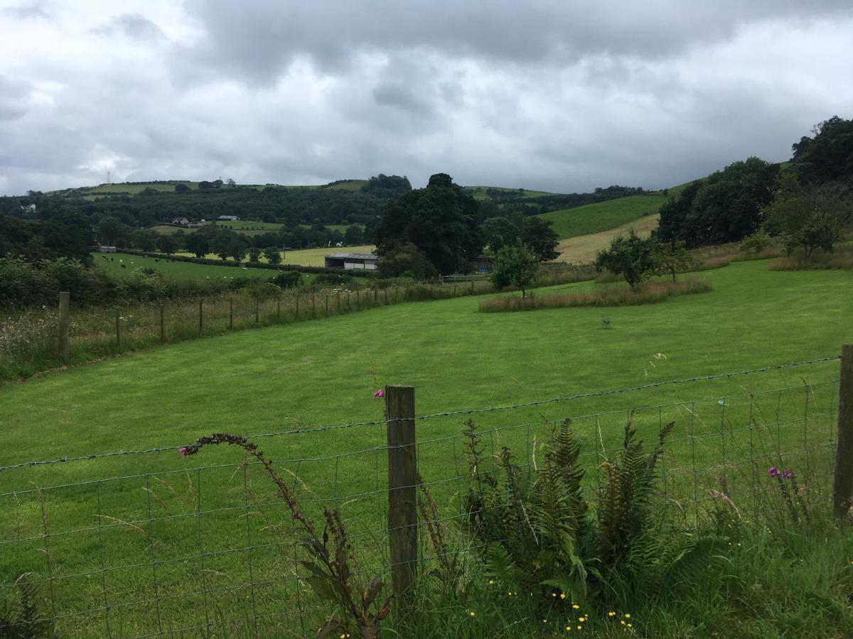 Jacquie's -dumfries-room With A View